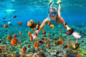 Gili Trawangan Snorkeling Trip