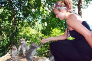 Lombok Nature Package 2 Days - 1 Night