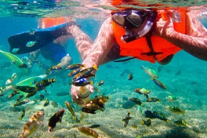 Gili Air Snorkeling Trip