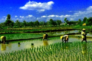 Lombok Soft Trekking