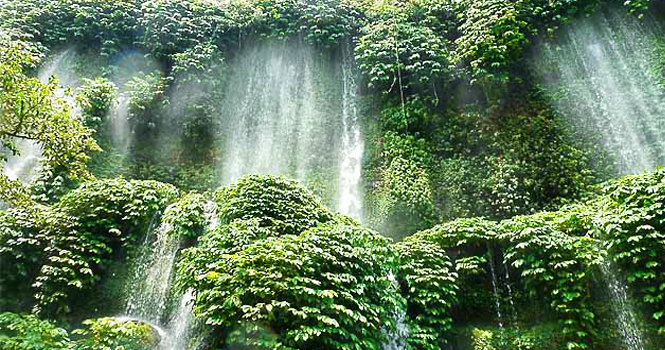 Sendang Gile and Tiu Kelep Waterfall