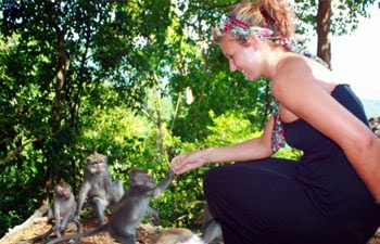 Monkey Forest Baun Pusuk