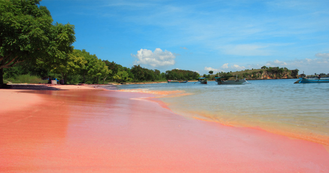 Pink Beach