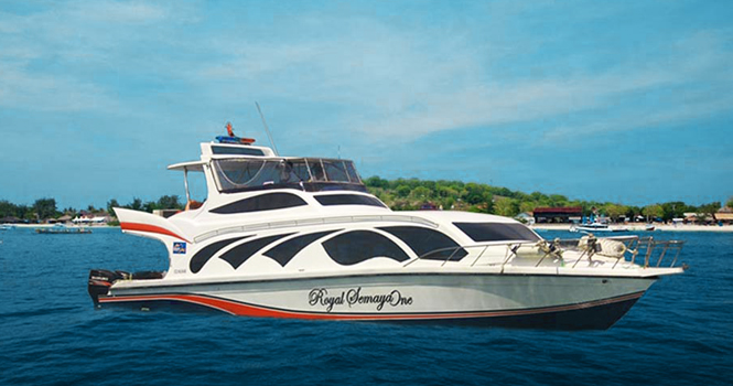 Semayaone Fast Cruise