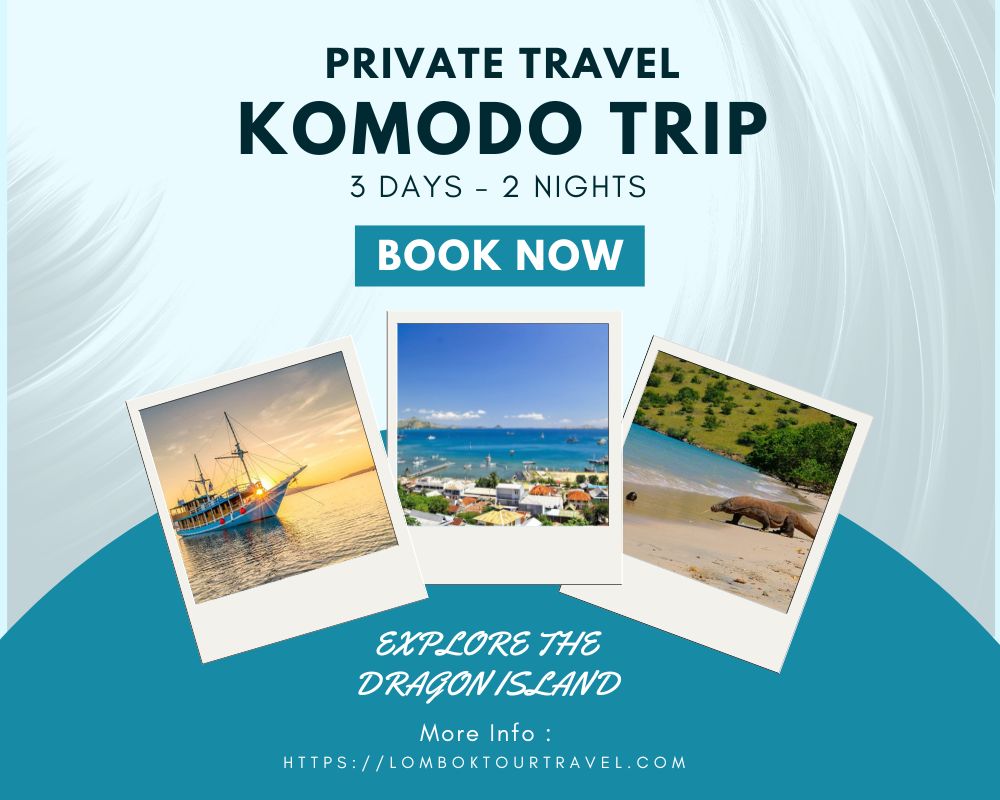 Komodo Island 3 Days 2 Nights